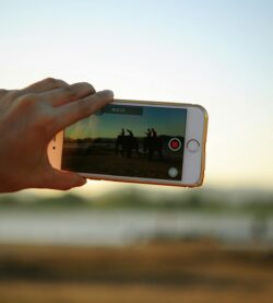 A colorful bracelet-adorned hand holding a smartphone capturing elephants in the distance.
